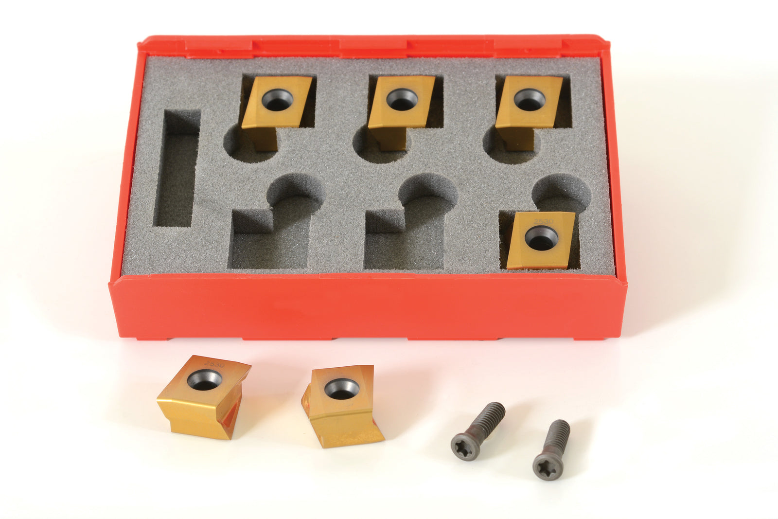 RIDGID Pack of 6 Inserts, 1 Anti-Seize Grease, 2 Screws, Case – product view | 48873